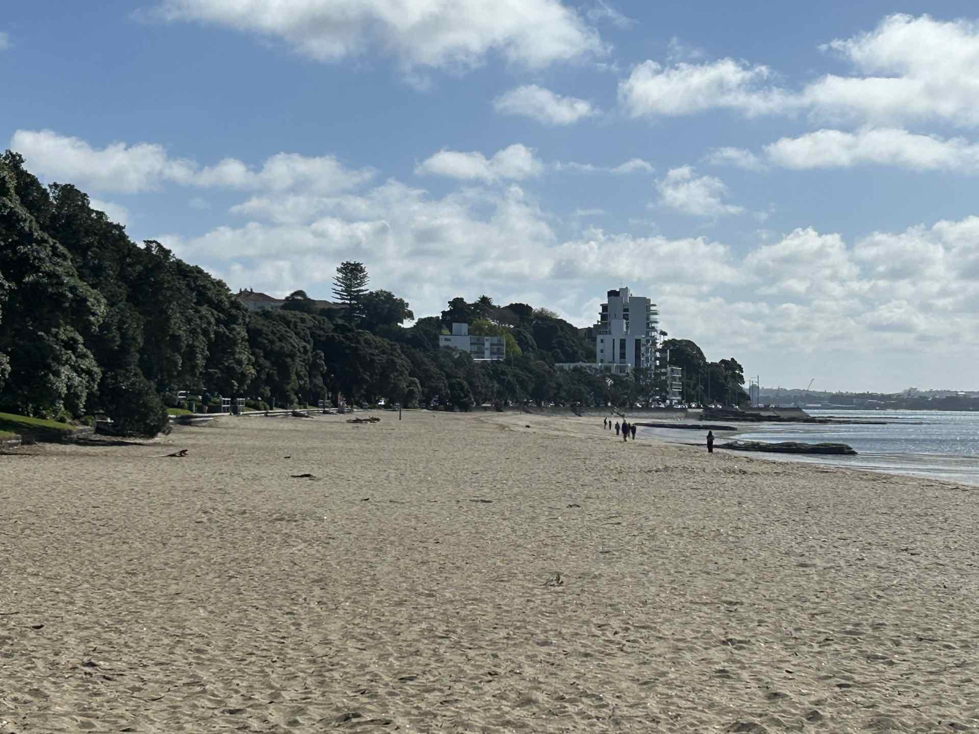 Northern Lights Lighting and Electrical — electrician Mission Bay Auckland